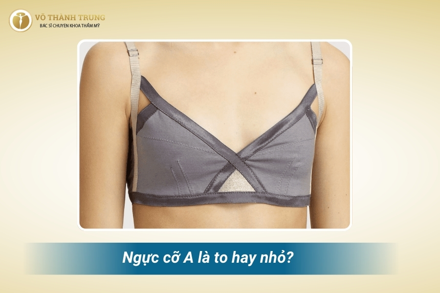 Ngực cup A là kích cỡ ngực nhỏ nhất Ngực cup A là kích cỡ ngực nhỏ nhất
